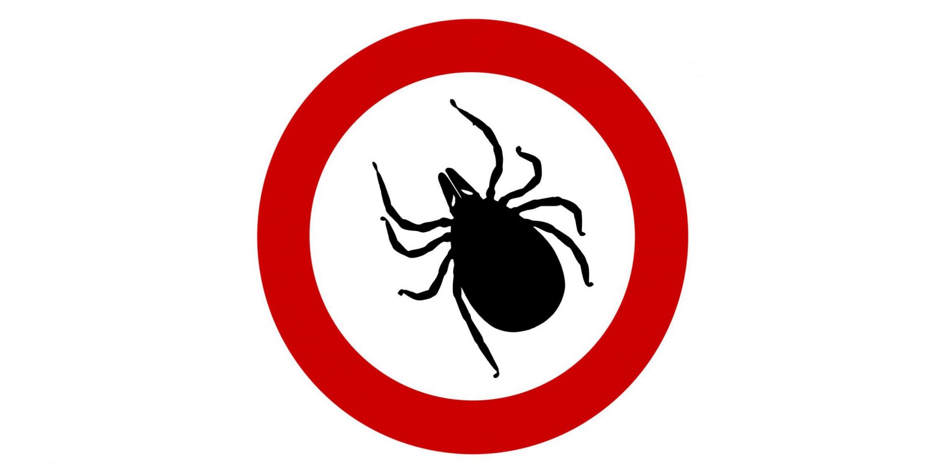 Boala Lyme: 7 informații pe care trebuie să le știi 1 Medicina Integrativă - Abordarea Completă a Sănătății Tale