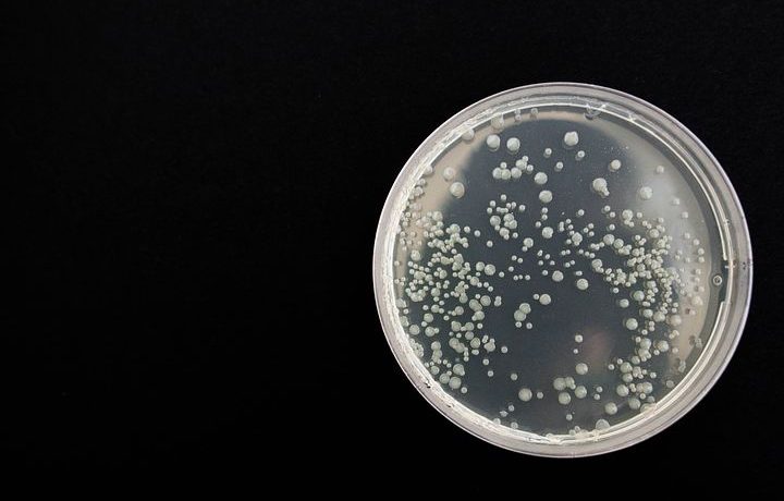 Microbiomul - un factor important pentru prevenirea și tratarea cancerului 5 Microbiomul -important pentru prevenirea/tratarea cancerului Microbiomul