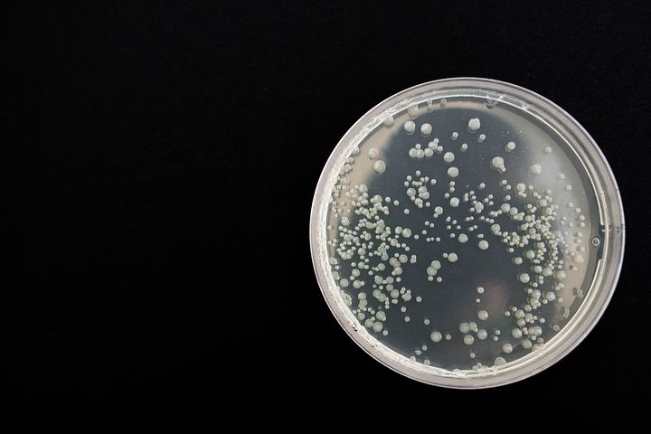 Microbiomul - un factor important pentru prevenirea și tratarea cancerului 1 Microbiomul -important pentru prevenirea/tratarea cancerului Microbiomul
