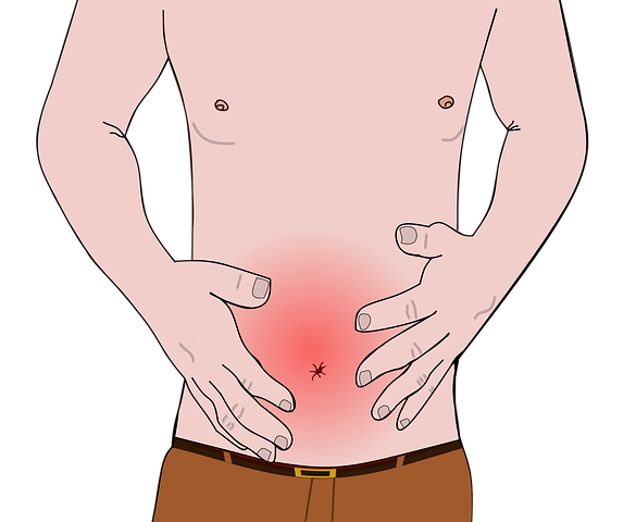 Ascarizii - Inamicii ascunsi in tractul intestinal