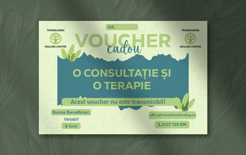 Voucher 1 voucher 1