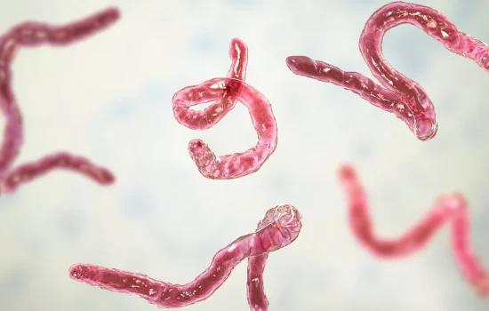 Cum poți depista corect infecțiile latente și dezechilibrele microbiene în corp
