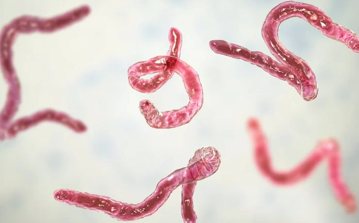 Cum poți depista corect infecțiile latente și dezechilibrele microbiene în corp