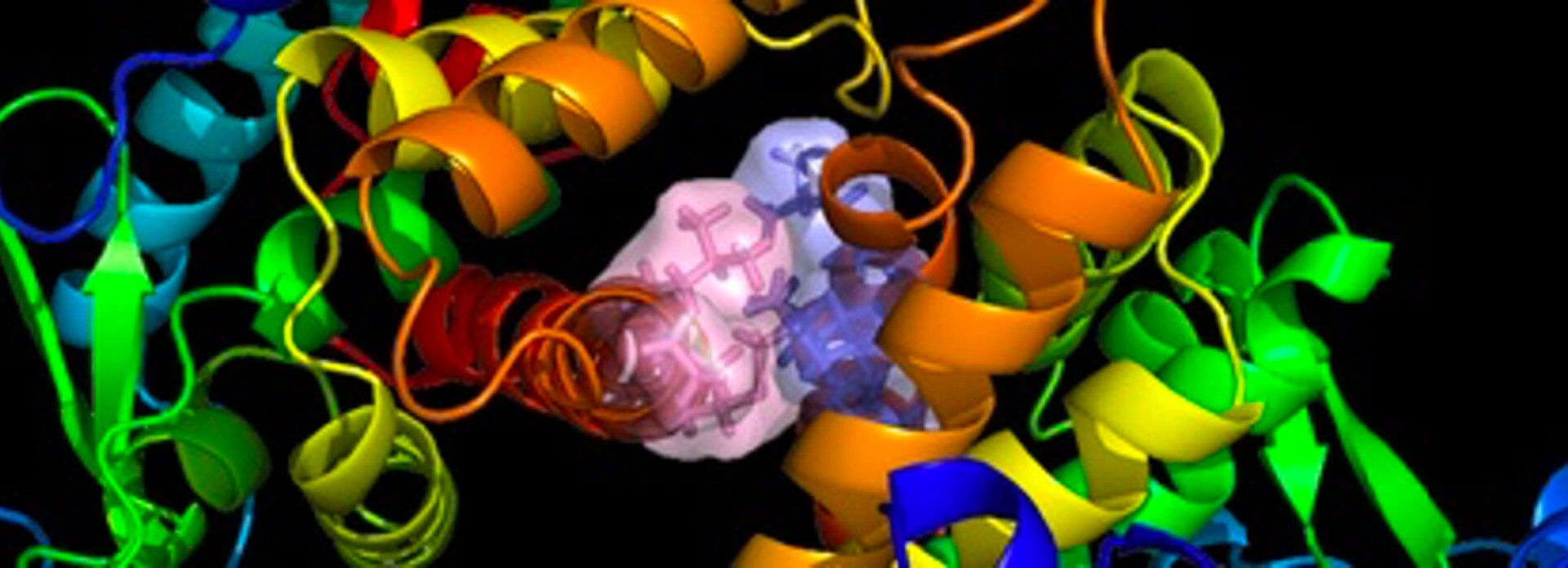 Medicina biofizică - echilibrul invizibil al corpului