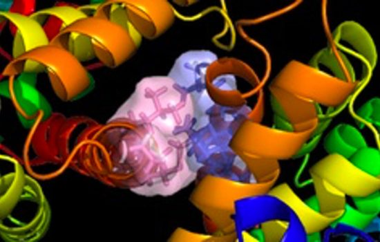Medicina biofizică - echilibrul invizibil al corpului